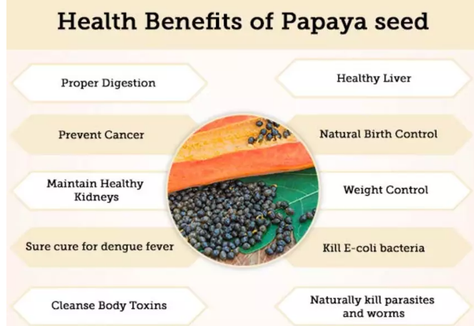 Diseases cured with Papaya