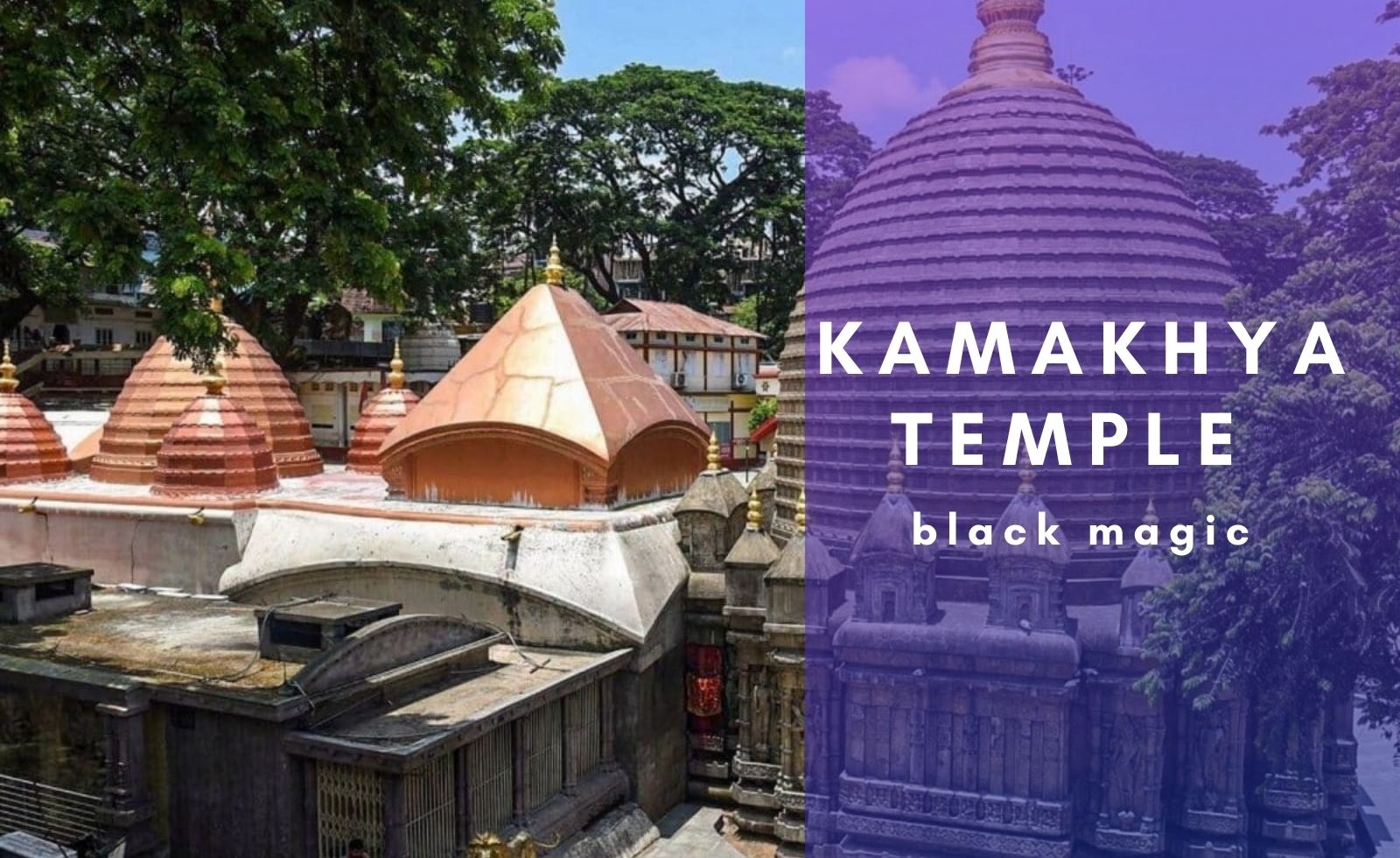 Kamakhya temple black magic