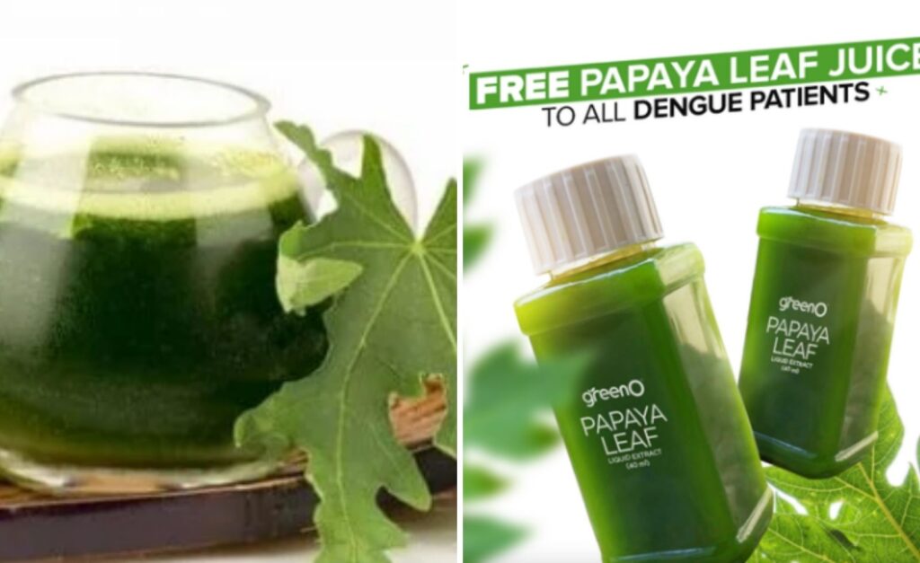 Papaya Leaf juice