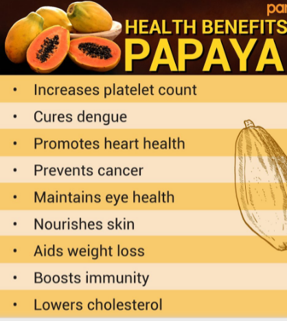 Papaya Health Benefit