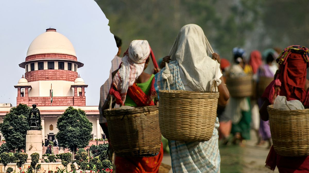 Supreme Court of India Orders Rs 650 Crore Payment to 28,556 Tea Garden Workers in Assam