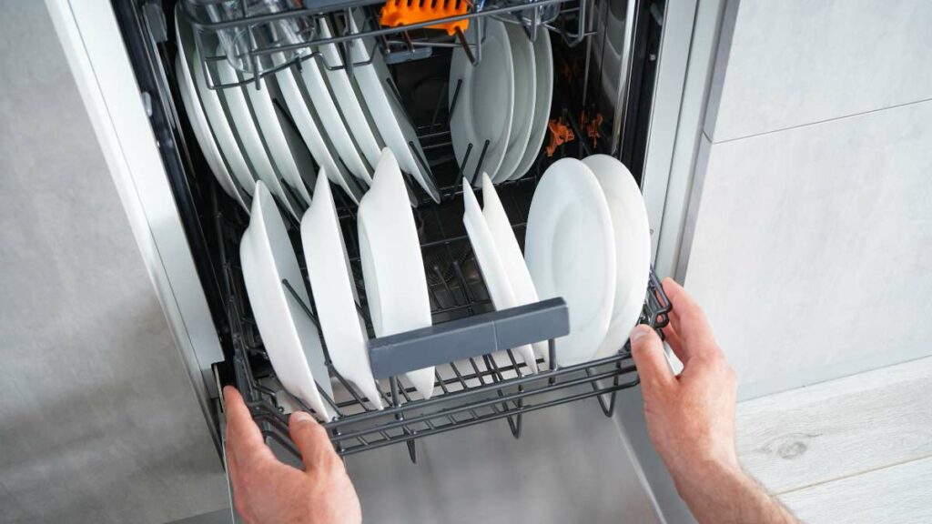Placing dishes and plates in dishwasher