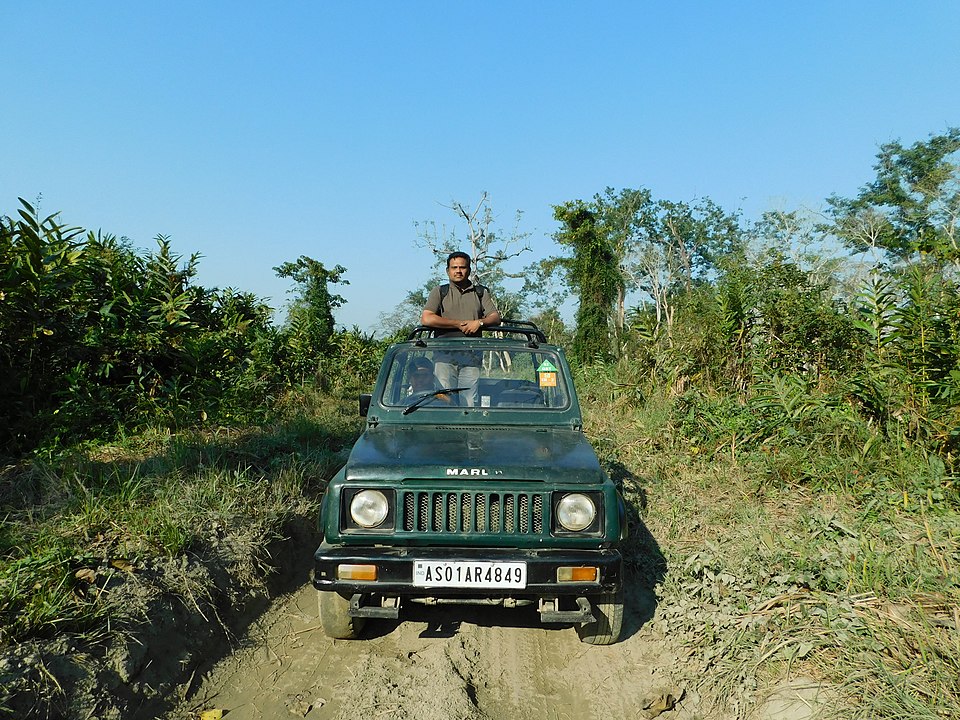 Tourist enjoying nature at Kaziranga National Park